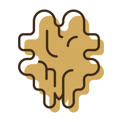 NOCI SGUSCIATE VALIER - Noci <br/> sgusciate